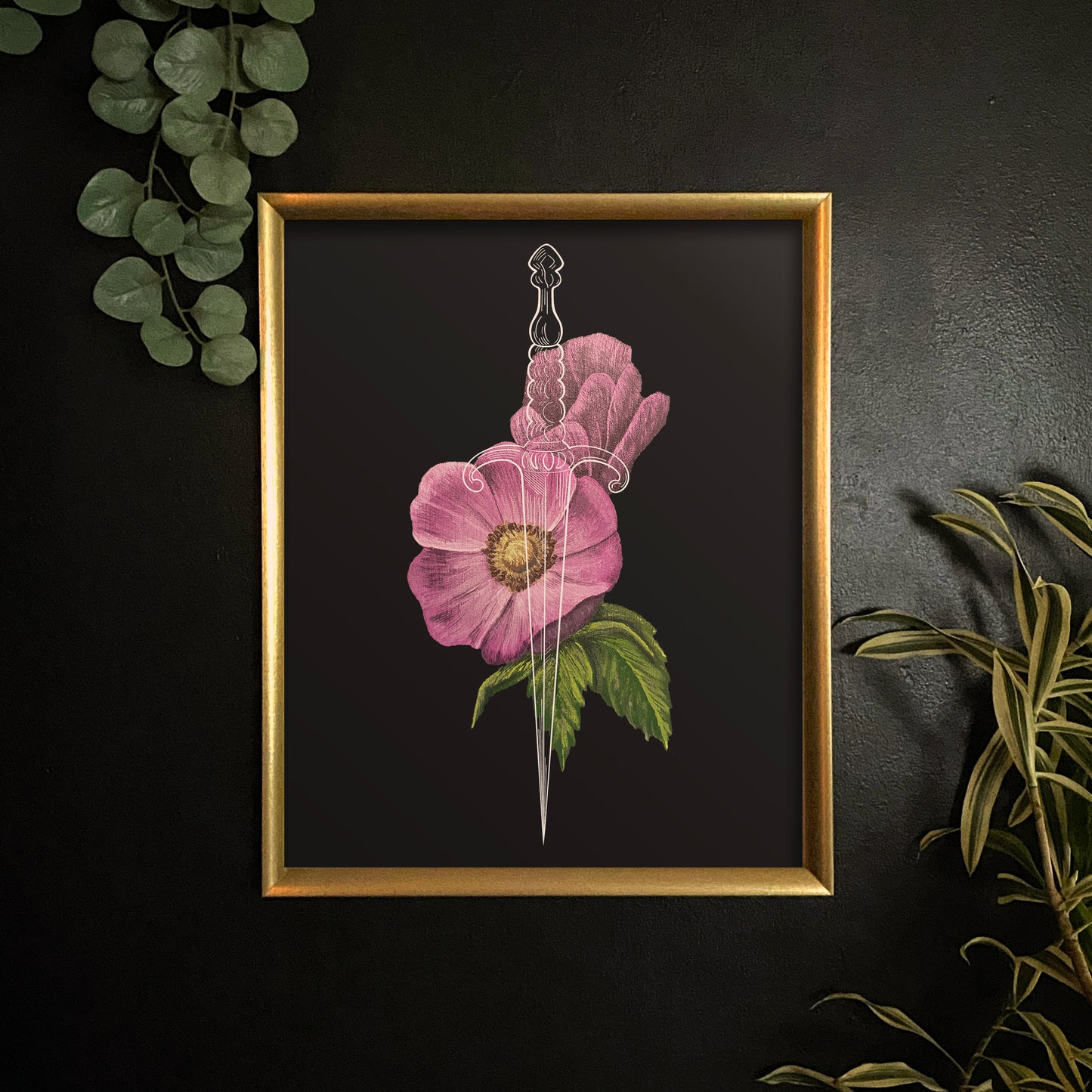 Wild Rose Dagger Fine Art Print